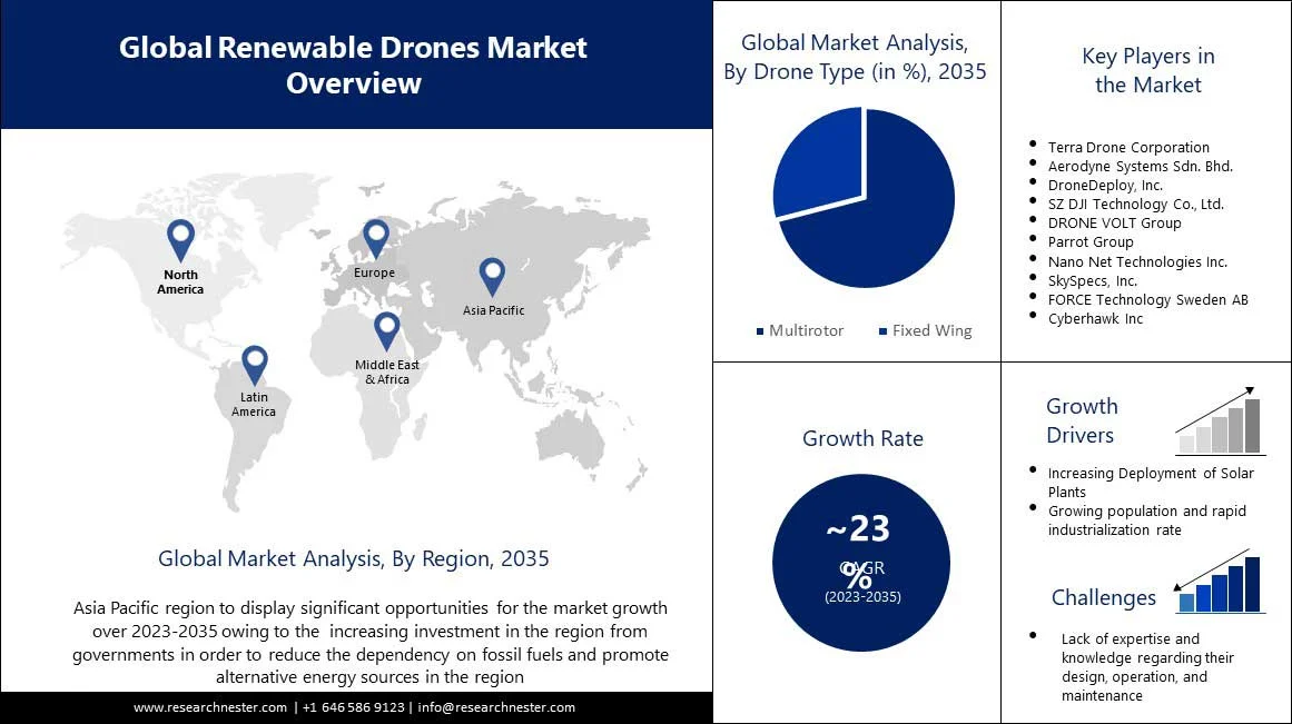 Renewable Drones Market